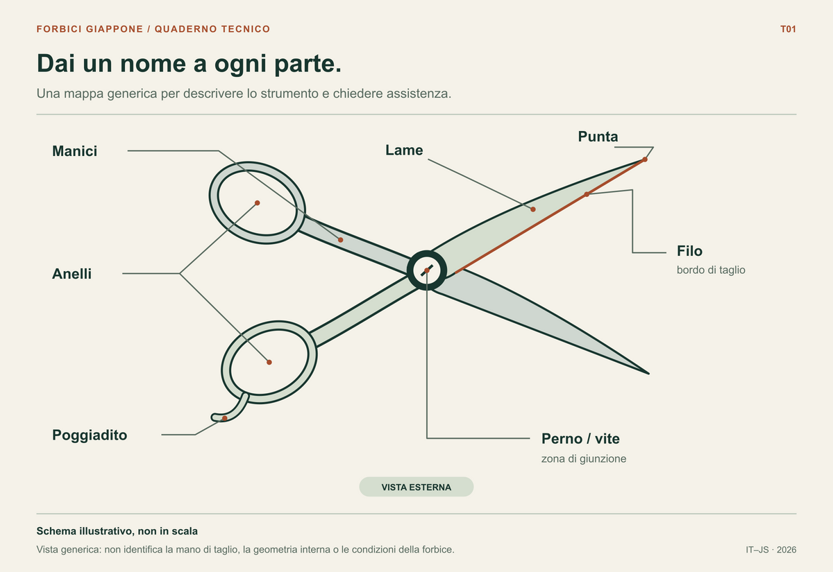 Forbice aperta schematica con punta, lame, filo evidenziato, perno o vite, manici, anelli e poggiadito indicati da linee.