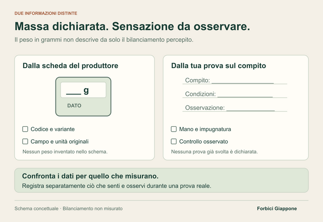 Una scheda per la massa in grammi è separata da tre righe vuote per compito, condizioni e osservazione durante la prova; nessun valore o risultato è precompilato.