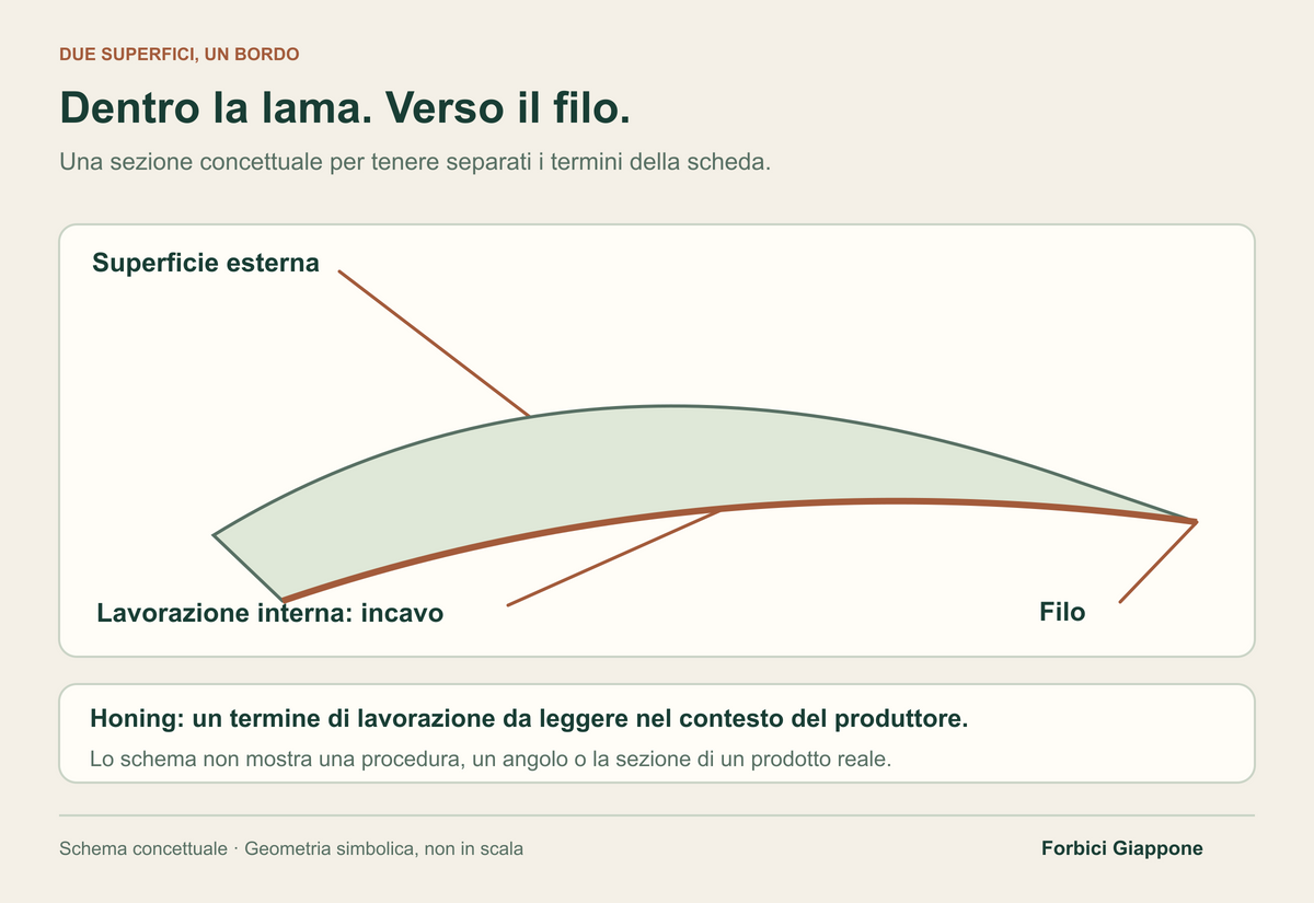 Sezione simbolica di una singola lama con superficie esterna, incavo interno color terracotta e bordo del filo separatamente indicati; una nota distingue honing dalla forma.