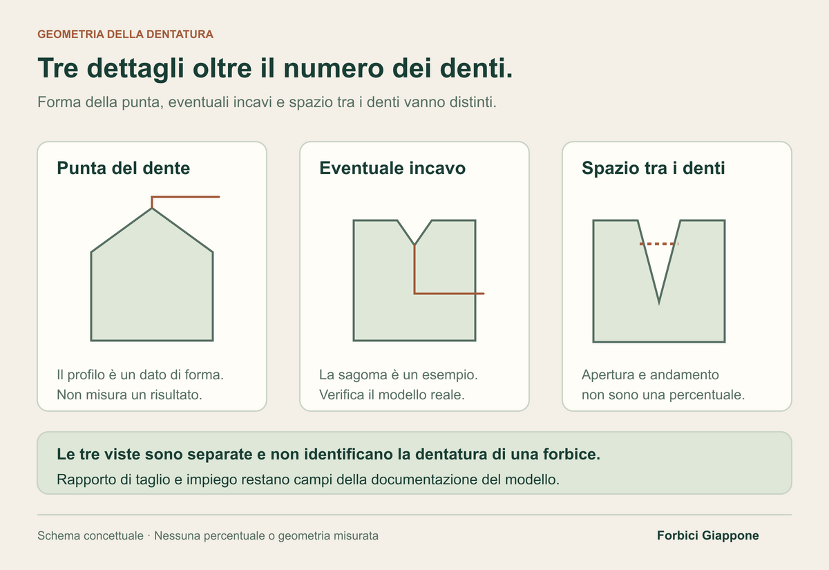 Tre dettagli separati e simbolici mostrano un profilo della punta, un possibile incavo e lo spazio tra due denti; nessun modello o rapporto di taglio è rappresentato.