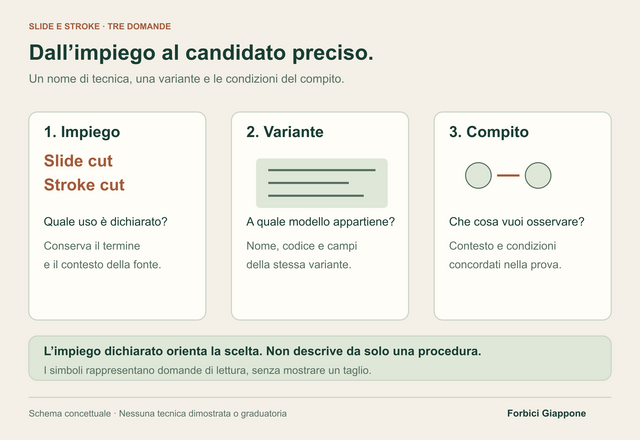 Tre pannelli collegano i termini slide e stroke, una scheda simbolica del modello e la domanda sul compito da osservare. Nessun movimento di taglio è raffigurato.