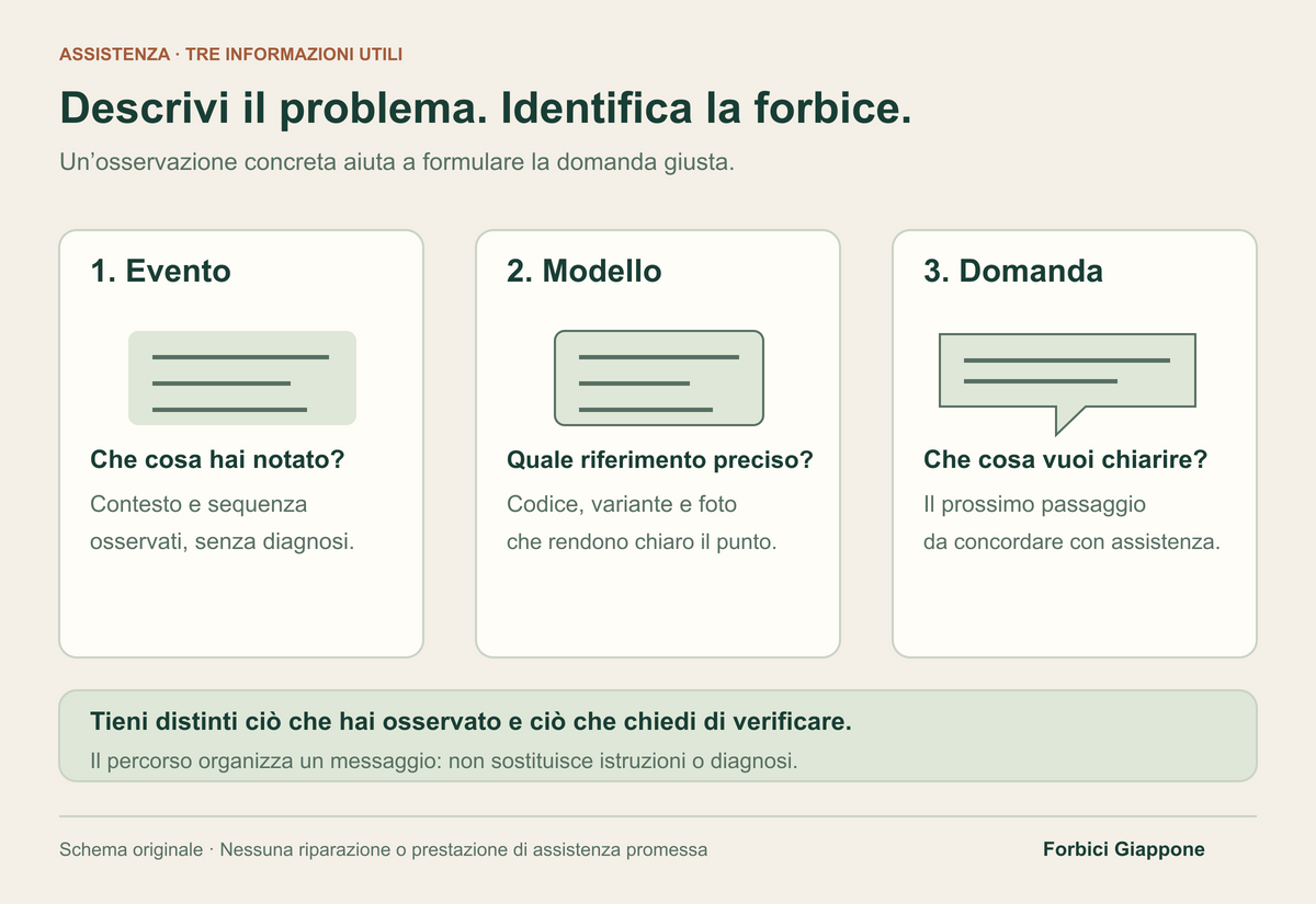 Tre pannelli organizzano un messaggio di assistenza: evento osservato, modello identificato e domanda sul prossimo passaggio da concordare.