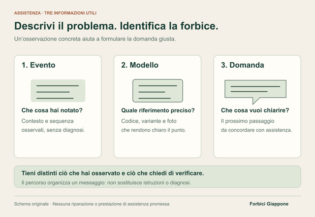 Tre pannelli organizzano un messaggio di assistenza: evento osservato, modello identificato e domanda sul prossimo passaggio da concordare.
