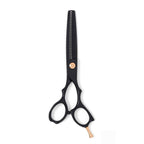 Ichiro Ash Gold Master Scissor Set - Japan Scissors