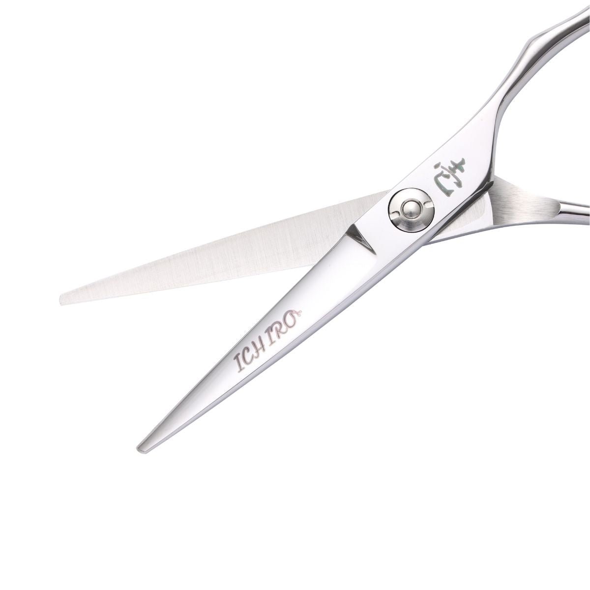 Ichiro Ergo Apprentice Hair Cutting Scissor - Japan Scissors