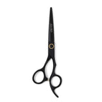 Ichiro Matte Black Master Set - Japan Scissors