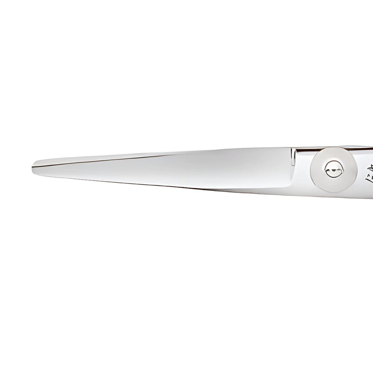 Juntetsu Cobalt Apex Hairdressing Scissor Set - Japan Scissors