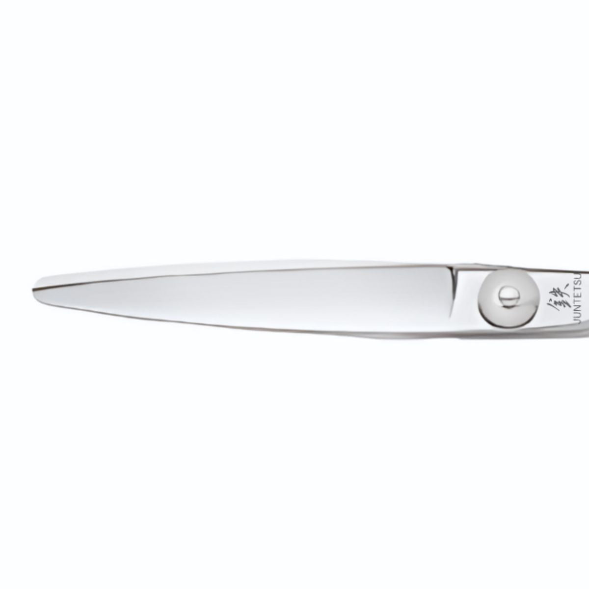 Juntetsu Cobalt Vertex Hairdressing Scissor Set - Japan Scissors